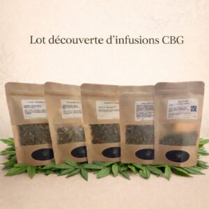 lot découverte 3 infusions CBG