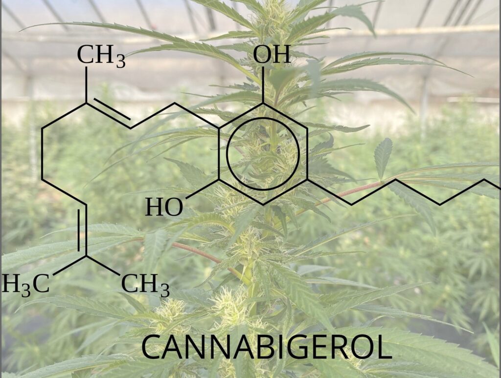 Cannabigerol