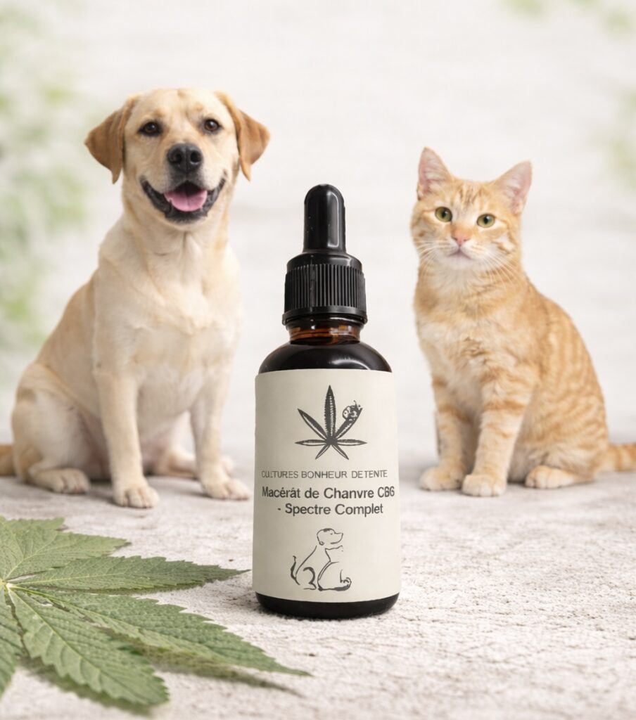 huile CBG chien chat NAC